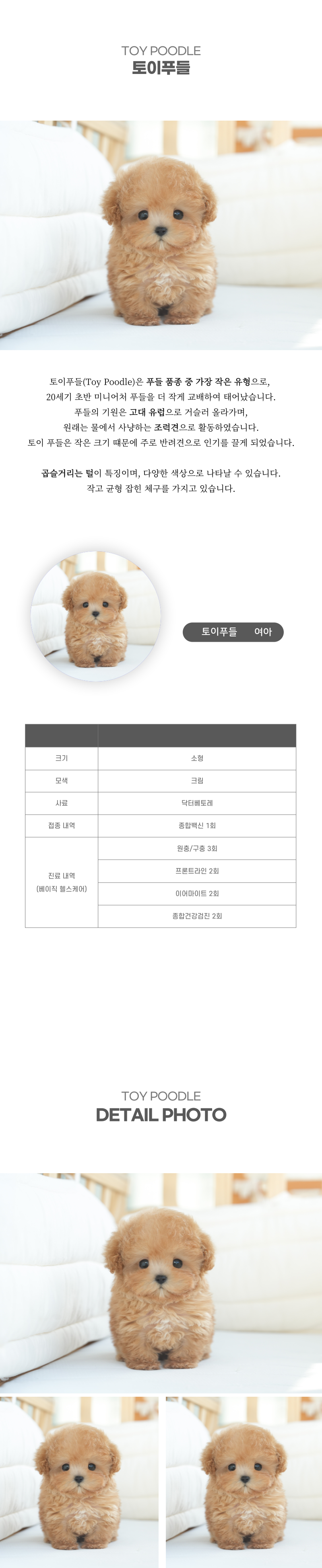 토이푸들_상세이미지_2